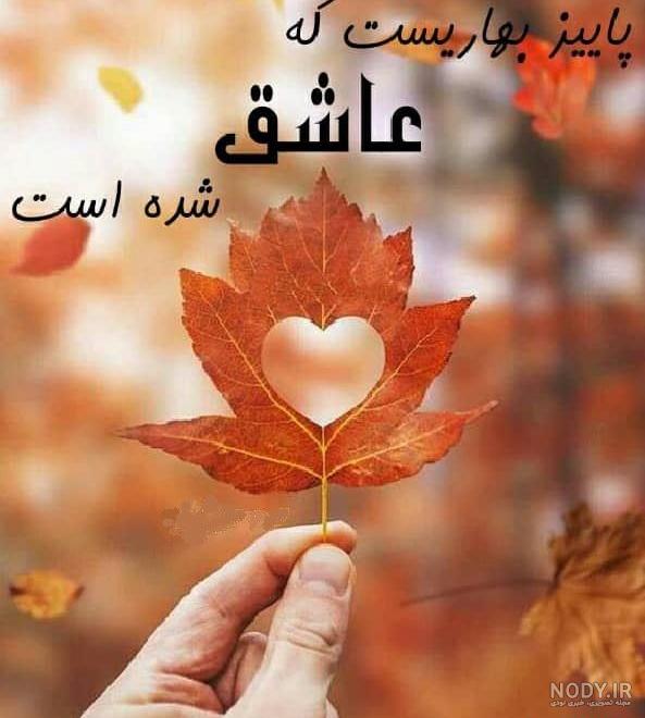پاییزی استوری تولد خواهر - عکس نودی