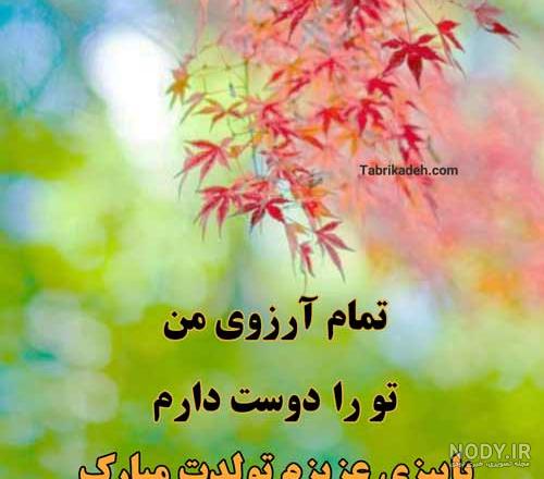 کلیپ جدید پاییز / پاییز آمد / دکلمه زیبای پاییز / استوری تبریک تولد پاییزی  ها