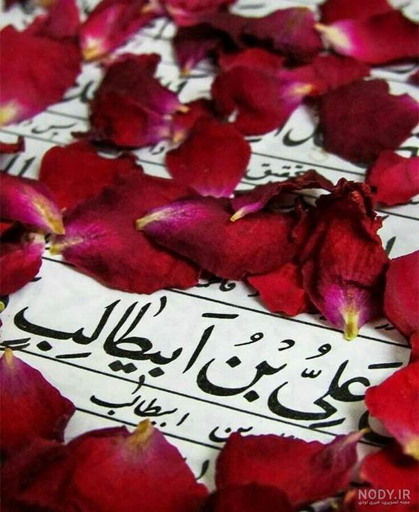 ❤️فقط حیدر(ع) امیر المومنین است❤️ صفحه 14 | تبادل نظر نی نی سایت