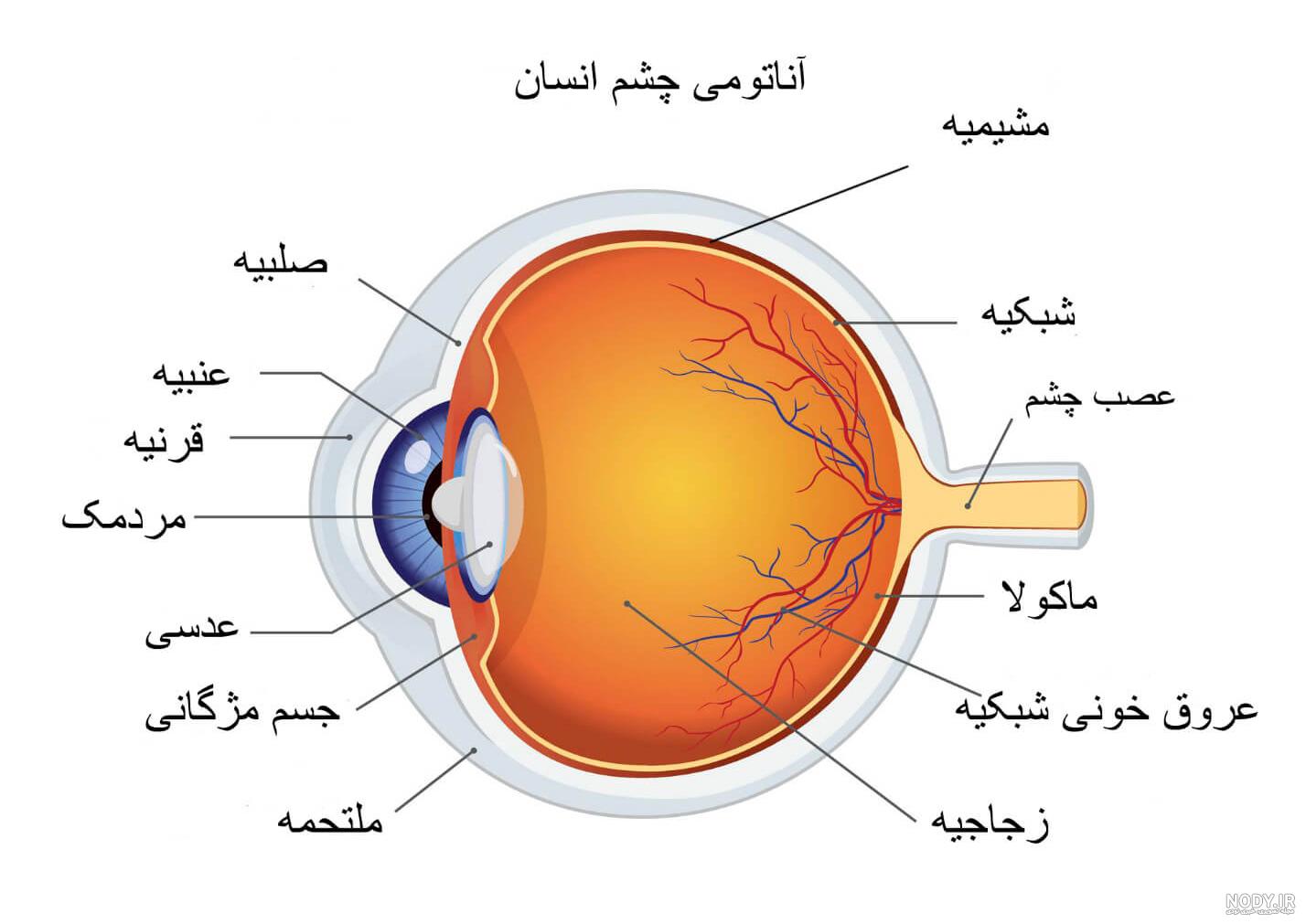 Pin on استاد پناهیان