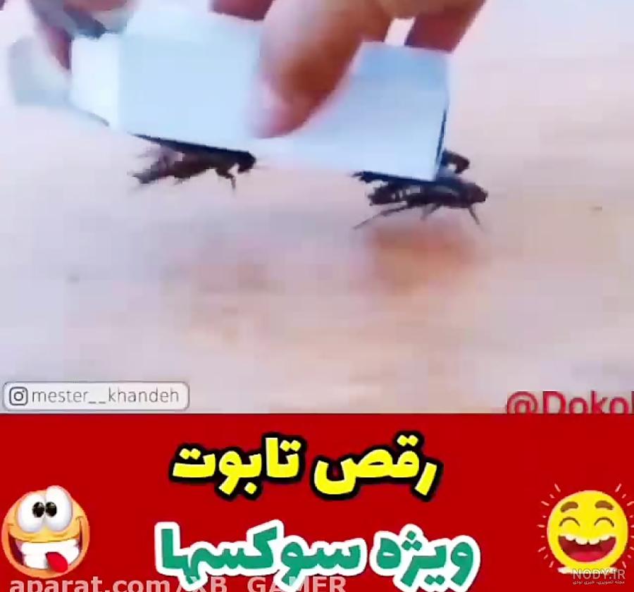 اسرائیل به اهداف حماس در غزه حمله کرد - BBC News فارسی اسرائیل به اهداف حماس در غزه حمله کرد - BBC News فارسی