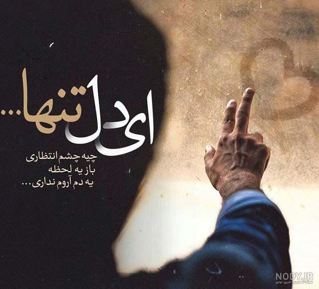 برخى فضايل امام حسين (ع)، سيد الشهدا