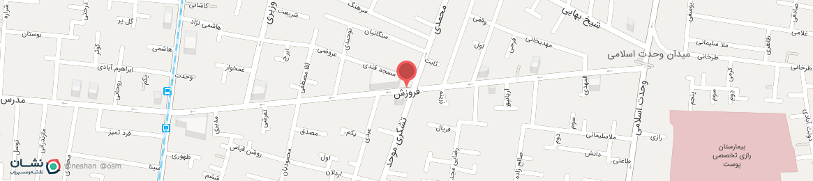 بیوگرافی احسان حاج‌ صفی و همسرش + زندگی شخصی فوتبالی