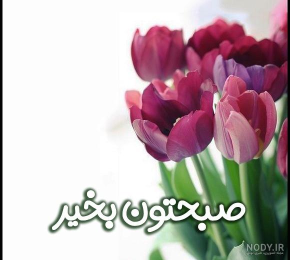 سلام صبح بخیر با عکس گل نرگس