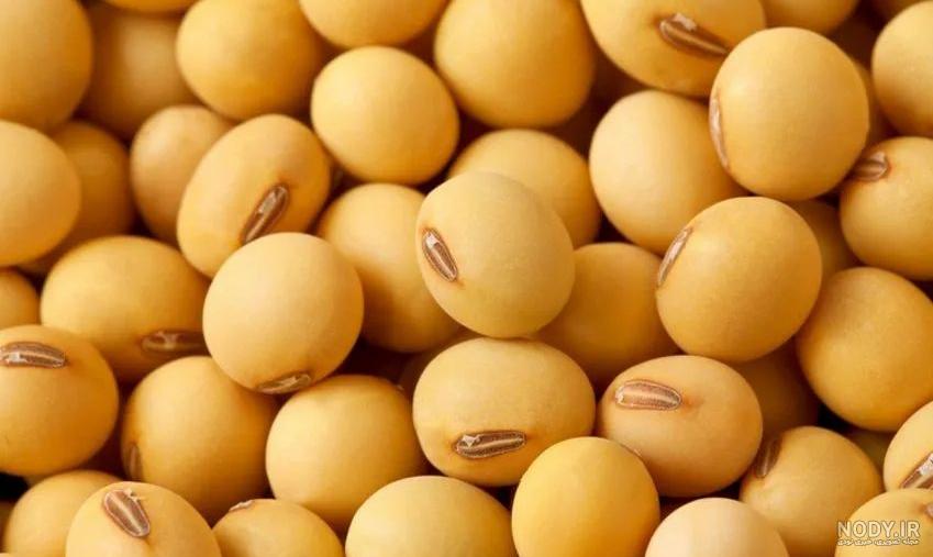 عکس سویا در ایران