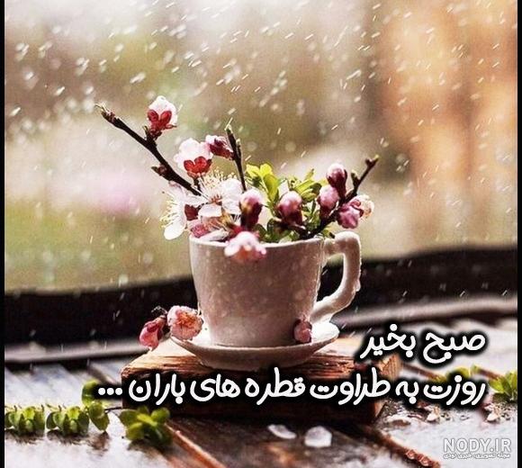 عکس صبح بخیر با گل نرگس