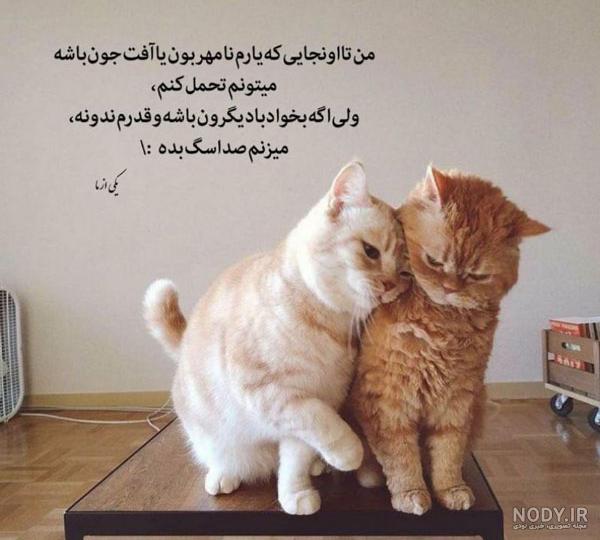 عکس نوشته طنز خنده دار ایرانی عکس نوشته طنز خنده دار ایرانی