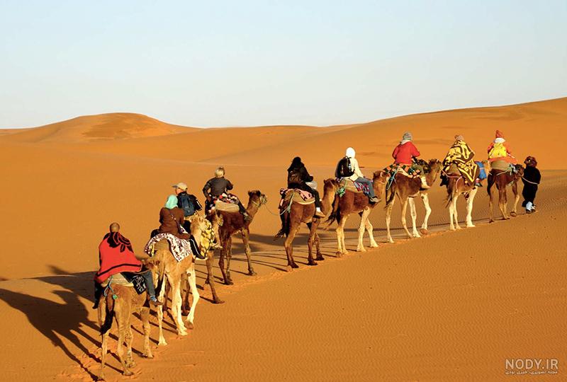 عکس کویر مصر عکس کویر مصر