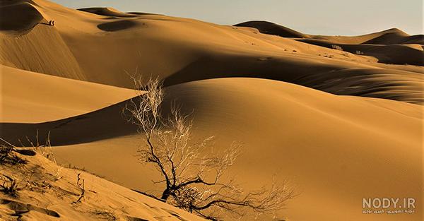 عکس کویر مصر ایران عکس کویر مصر ایران
