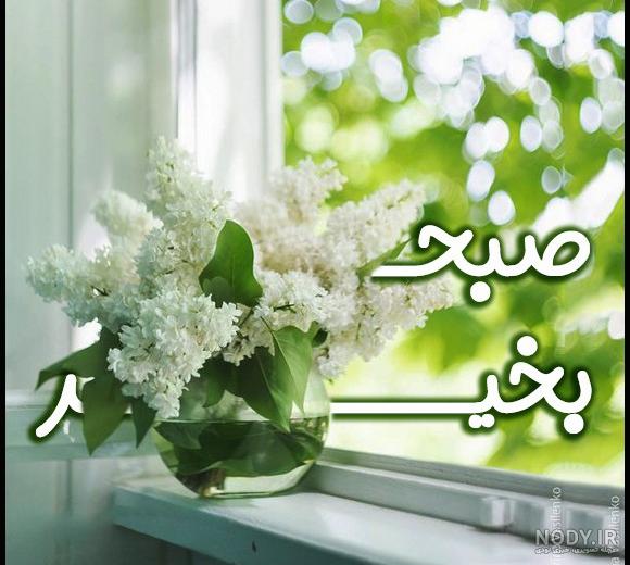 عکس گل نرگس با صلوات - عکس نودی