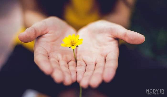 متن ادبی برای جشن عاطفه ها+ شعر زیبا