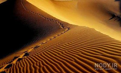 مشرق نیوز - عکس/ کویر «مصر» کجاست؟ مشرق نیوز - عکس/ کویر «مصر» کجاست؟