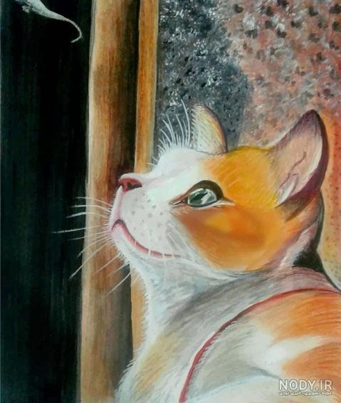 وکتور نقاشی گربه