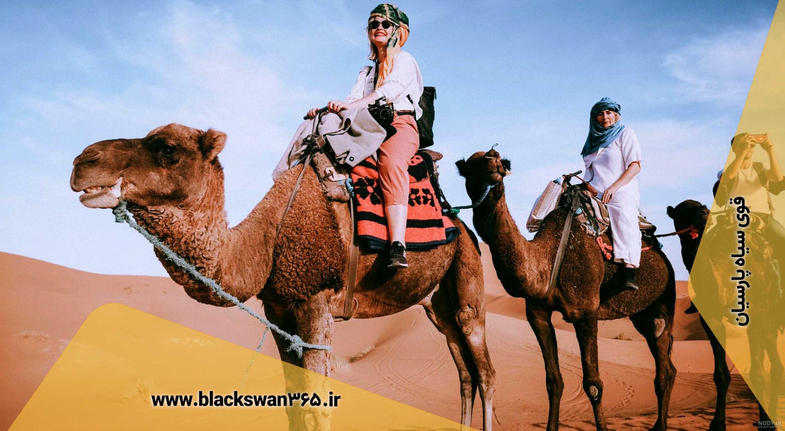 کویر مصر اصفهان | آدرس ، عکس و معرفی (1403) ☀️ کارناوال کویر مصر اصفهان | آدرس ، عکس و معرفی (1403) ☀️ کارناوال