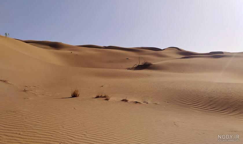 کویر مصر | قوی سیاه کویر مصر | قوی سیاه