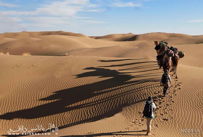 کویر مصر کجاست | راهنمای سفر + عکس، دیدنی ها و مسیر دسترسی - کجارو کویر مصر کجاست | راهنمای سفر + عکس، دیدنی ها و مسیر دسترسی - کجارو