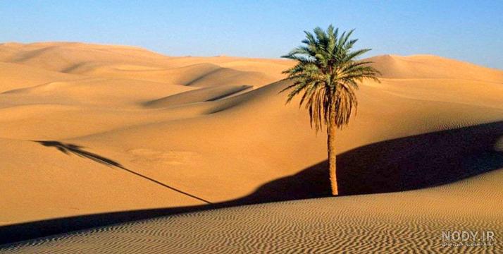 کویر مصر؛زیبای بی‌ادعا با پهنه‌ای از سکوت | مجله علی بابا