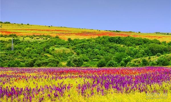 بیش از 30 عکس بهار با کیفیت بالا و ادیت حرفه‌ای | لست‌سکند