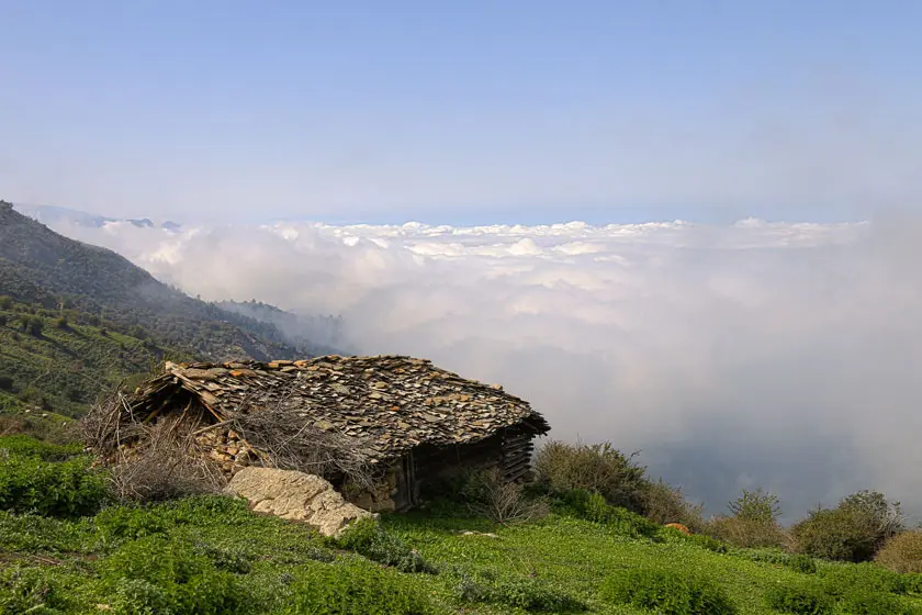 تابستان کجا بریم خنک باشه؟ 20 مکان خنک ایران + عکس - کجارو