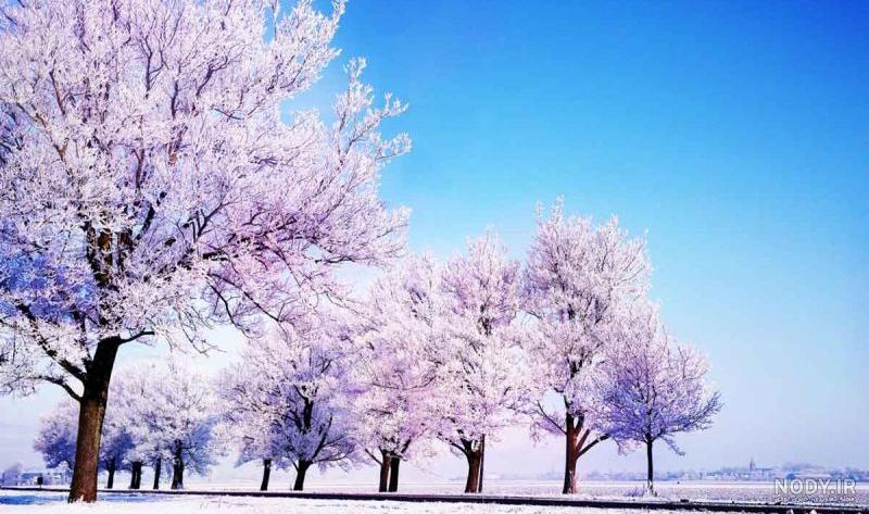 دانلود عکس طبیعت زمستان