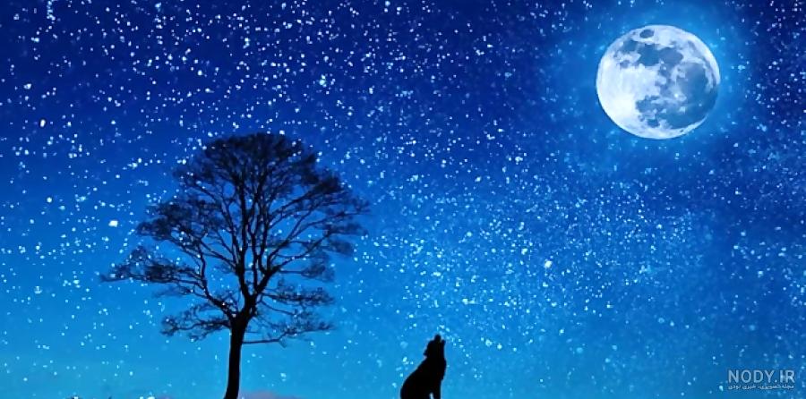 دانلود عکس گرگ در شب دانلود عکس گرگ در شب