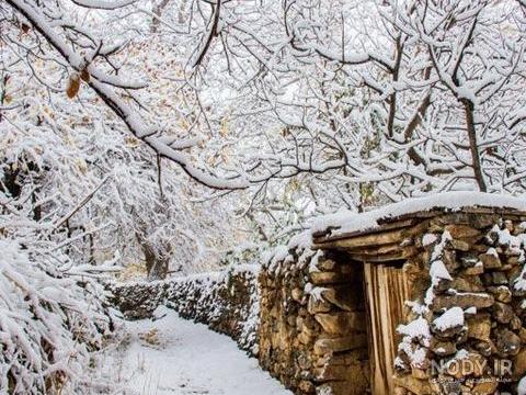 عکسهای زیبای طبیعت زمستان - کامل (مولیزی)