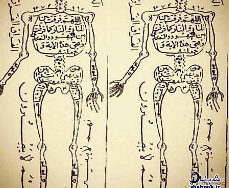 ما کجا زندگی میکنیم- شبکه ورزش | طرفداری