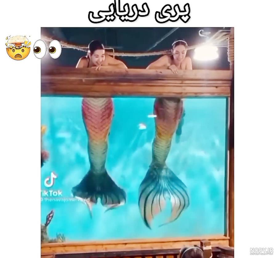 پری دریایی واقعی را ببینید/ عکس پری دریایی واقعی را ببینید/ عکس