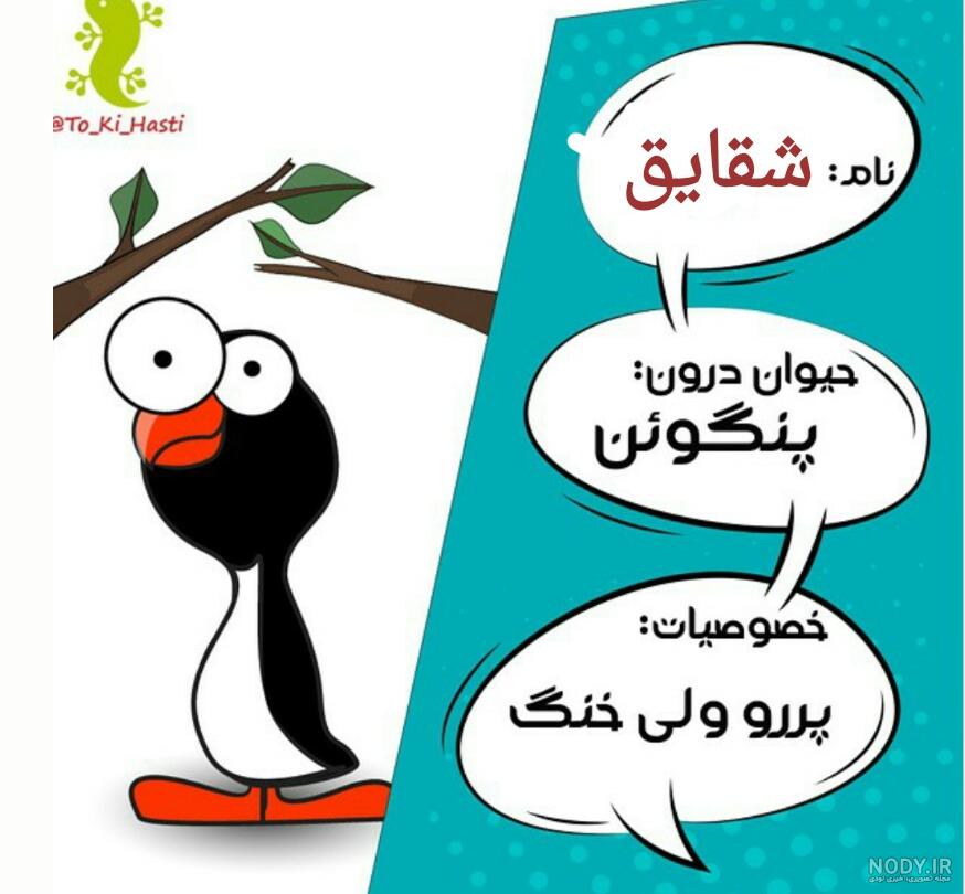 بایگانی‌های عکس نوشته شقایق دوست دارم - کامل (مولیزی)
