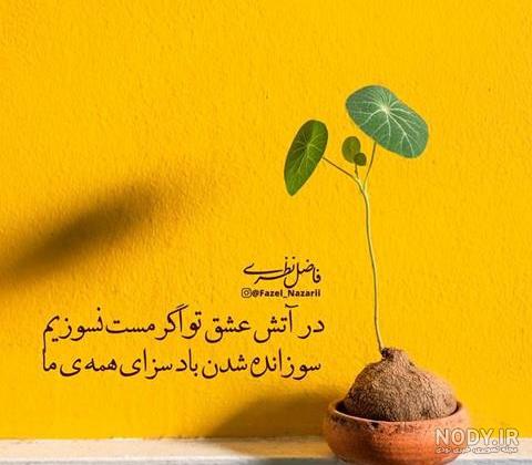 شعر پروفایل با اشعار مختلف زیبا و با معنی برای کپشن و زیر عکس شعر پروفایل با اشعار مختلف زیبا و با معنی برای کپشن و زیر عکس