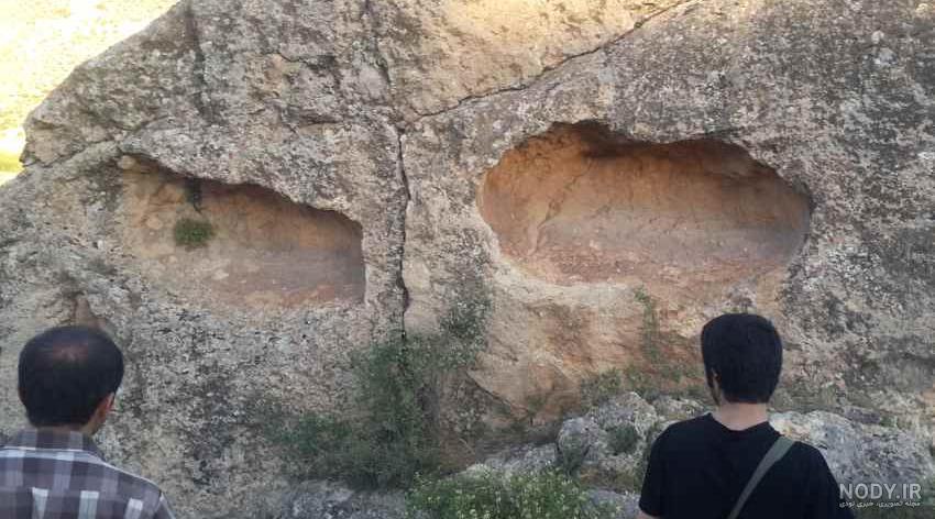 عکس اهو شاخ دار