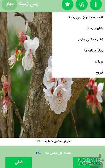 عکس های بهار