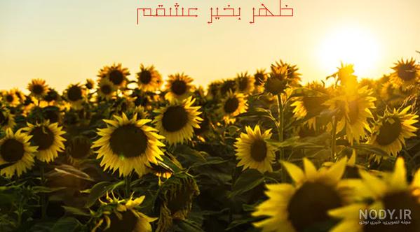 عکس زیبا ظهر بخیر - عکس نودی