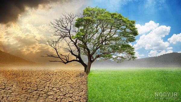 عکس واقعی بهشت خداوند عکس واقعی بهشت خداوند