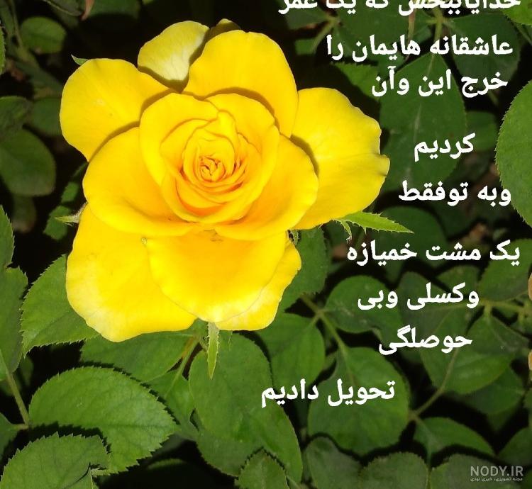 عکس پروفایل خدایا همه ی امیدم به توست | پروفایل گرام عکس پروفایل خدایا همه ی امیدم به توست | پروفایل گرام