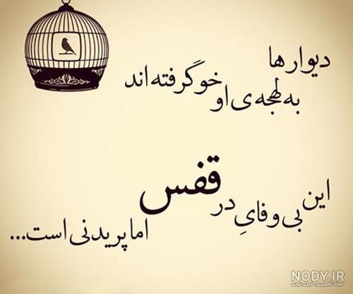 عکس گل 1402 | عکس گل برای پروفایل | عکس گل رز | عکس گل زیبا | عکس ... عکس گل 1402 | عکس گل برای پروفایل | عکس گل رز | عکس گل زیبا | عکس ...