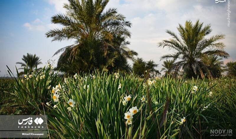 یک نسخه از این عکس حتما در آلبوم خانوادگی شما هم هست