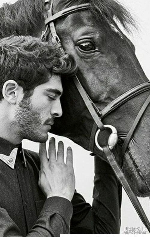 عکس اسب برای پروفایل پسرانه