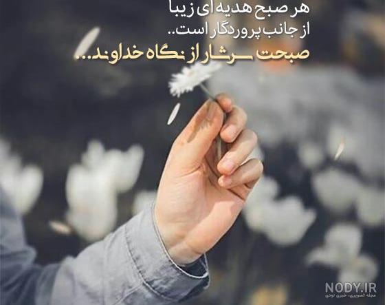صبح شنبه تون بخیر . کلیپ صبح بخیر صبح شنبه تون بخیر . کلیپ صبح بخیر