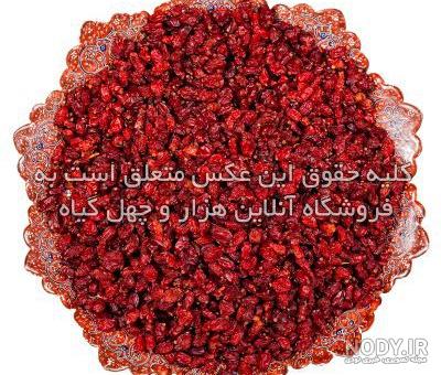عکس زرشک سیاه