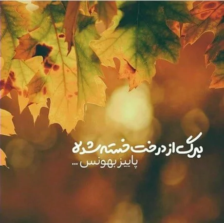 عکس در مورد طبیعت پاییز