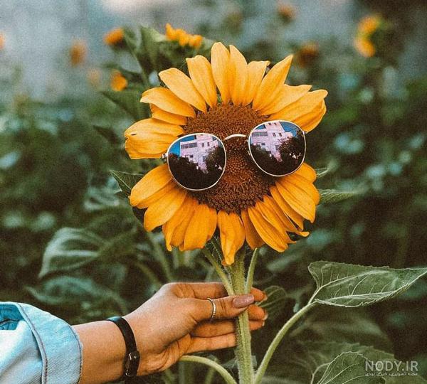 پروفایل جدید ۱۴۰۲؛ نمونه عکس های جدید برای پروفایل واتساپ دخترونه