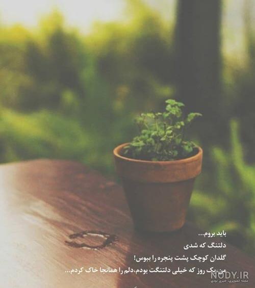 اشعار کوتاه و بلند هوشنگ ابتهاج : گلچینی از بهترین اشعار هوشنگ ... اشعار کوتاه و بلند هوشنگ ابتهاج : گلچینی از بهترین اشعار هوشنگ ...