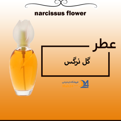 اطلاعات ، قیمت و خرید عطر ادکلن یاس رازقی Jasmine Razik کد MO60 اطلاعات ، قیمت و خرید عطر ادکلن یاس رازقی Jasmine Razik کد MO60