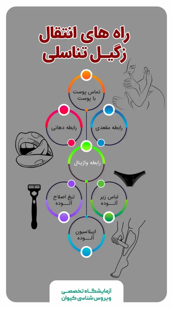 انواع ویروس اچ پی وی (HPV)؛ پرخطر و کم خطر | کلینیک اچ پی وی