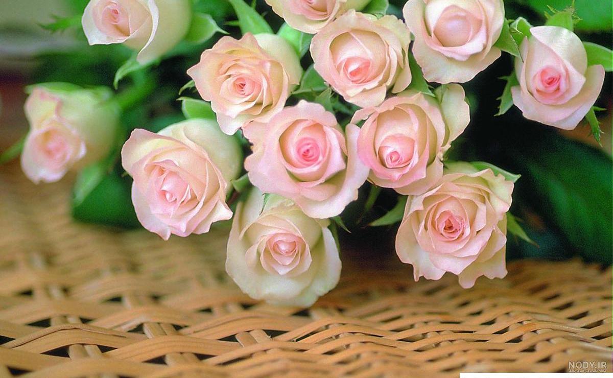 تصاویر بسیار زیبا از گل های طبیعی