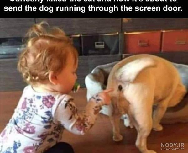 عکس جالب و خنده دار / Funny Picture - ❤️ ماگرتا عکس جالب و خنده دار / Funny Picture - ❤️ ماگرتا