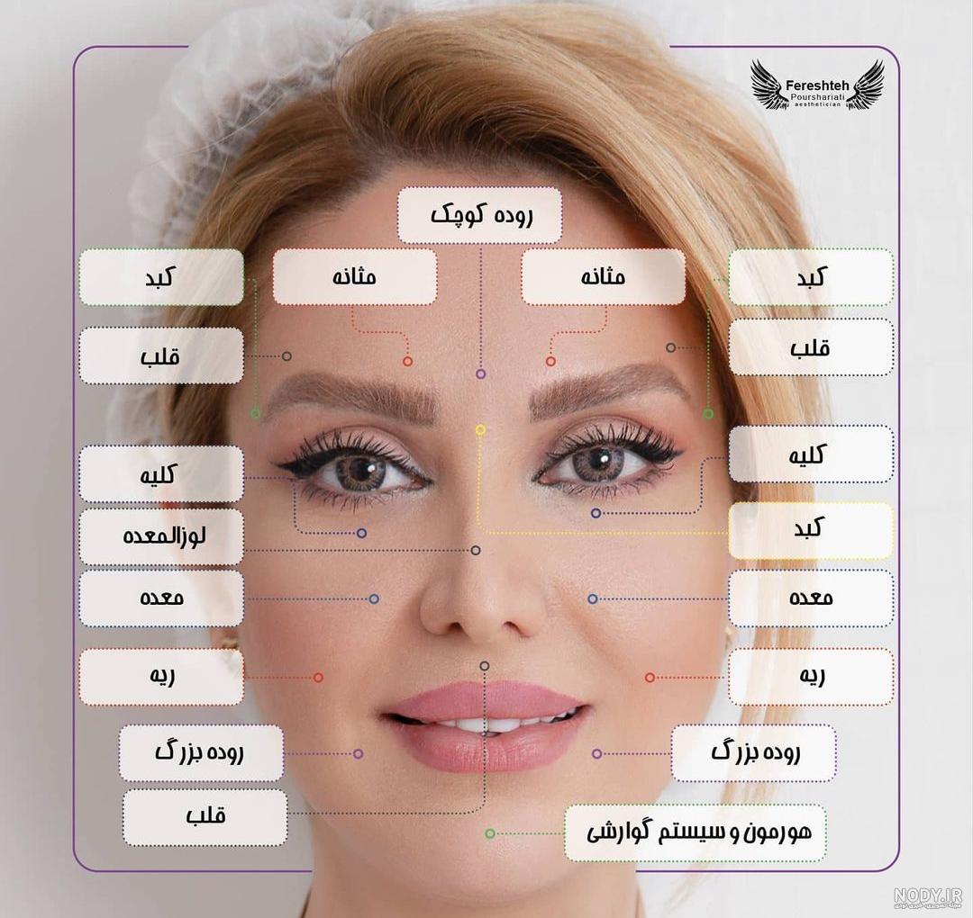 عکس نقاشی صورت آهو ️ [ بهترین تصاویر ]