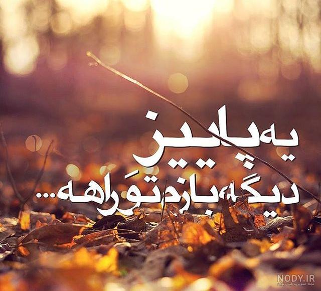 عکس نوشته پاییز دلم گرفته - عکس نودی