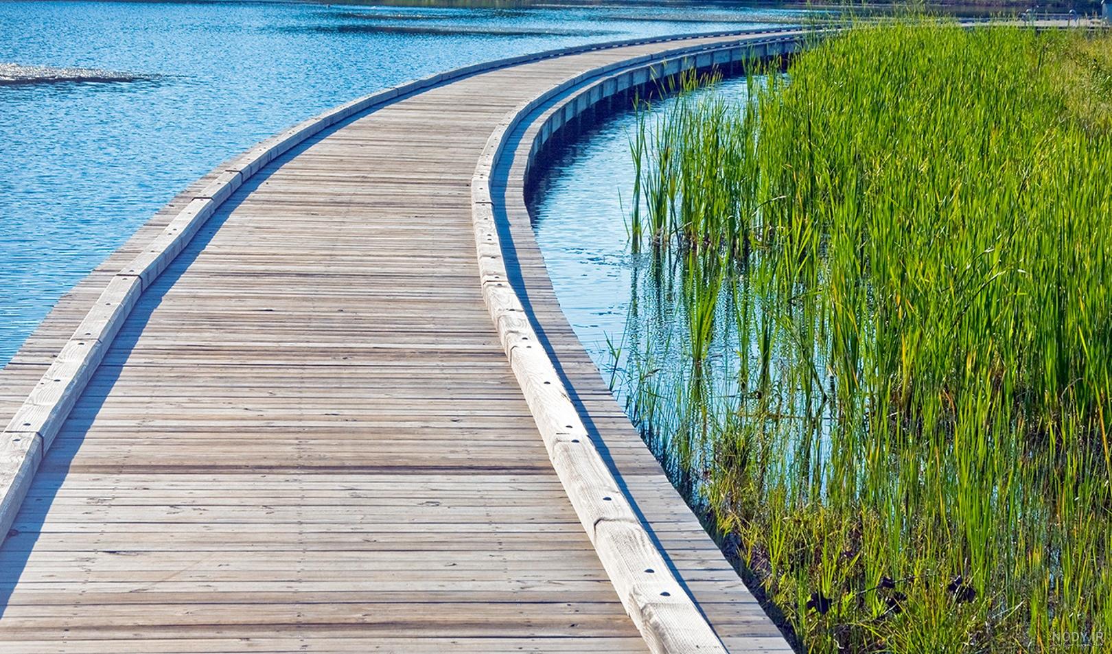 عکس هایی از طبیعت نیویورک